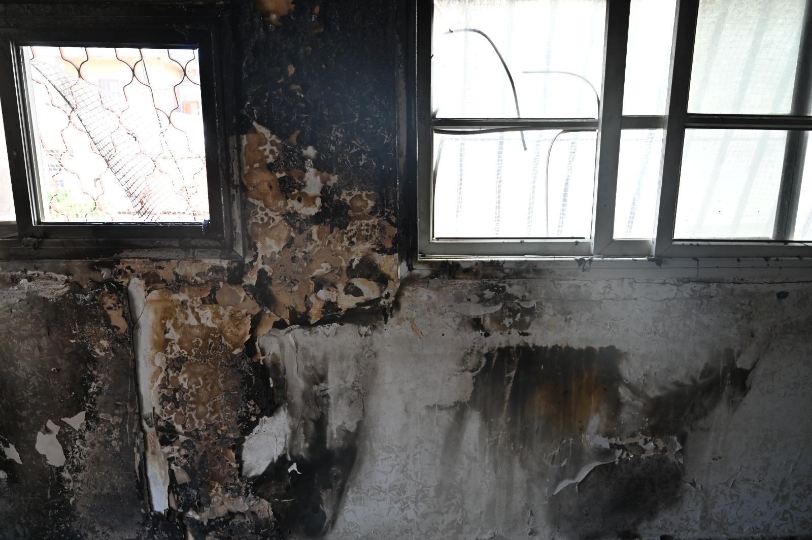 WhatsApp Image 2023-04-06 at 4.49.37 PM (2).jpeg